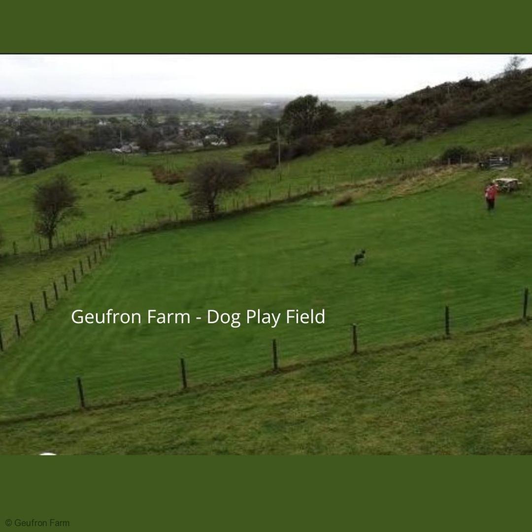 The Barn At Geufron Farm - Dog Friendly - Nr Tywyn Villa Bryn-crug Eksteriør billede