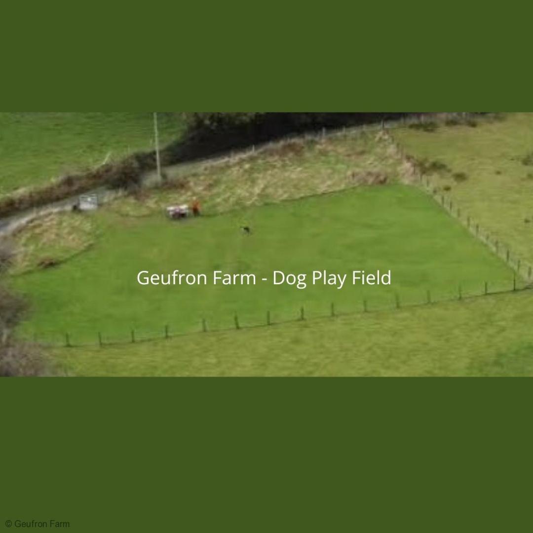 The Barn At Geufron Farm - Dog Friendly - Nr Tywyn Villa Bryn-crug Eksteriør billede